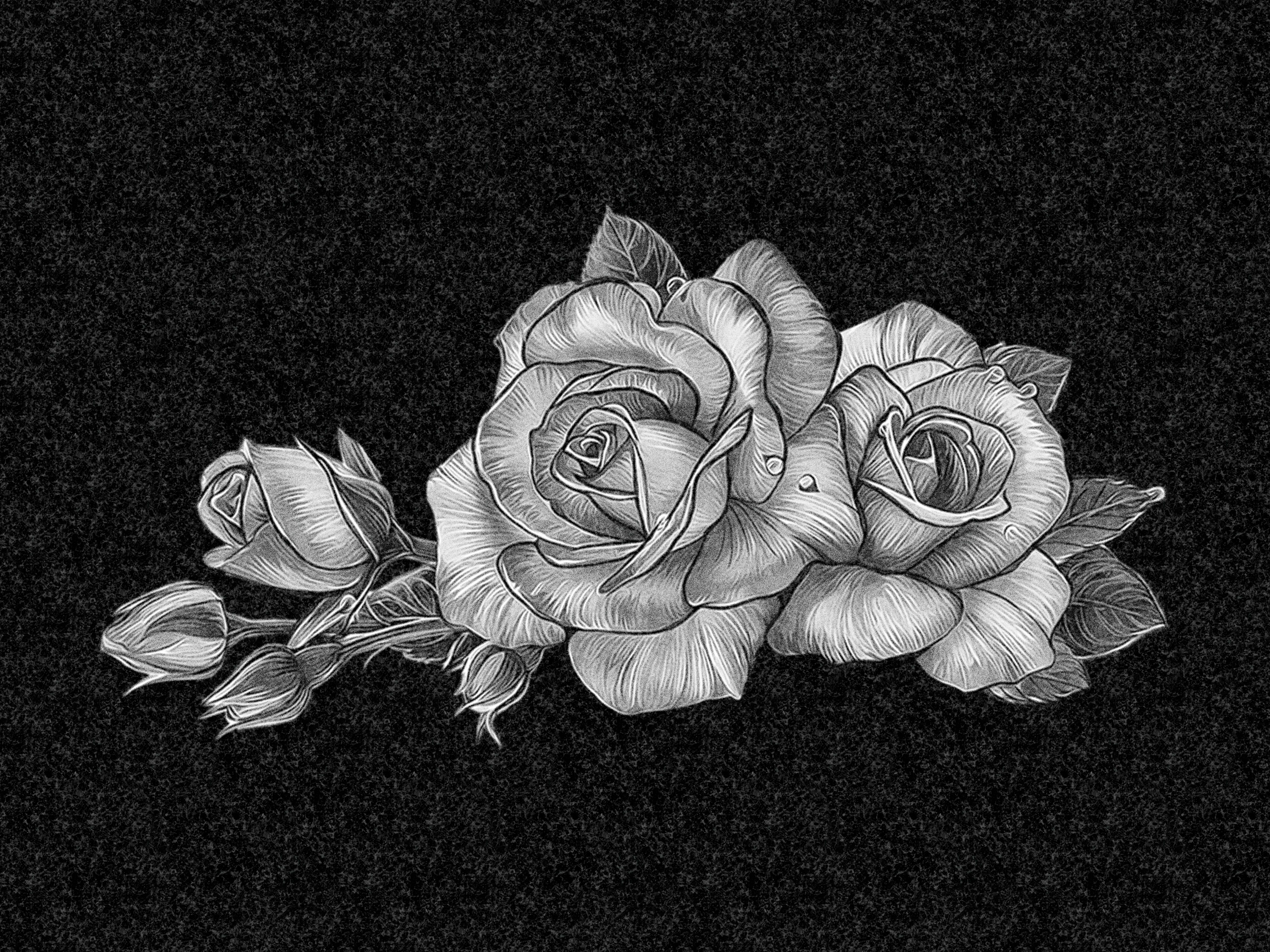 Цветы | Рисунок розы, ЦВ-023